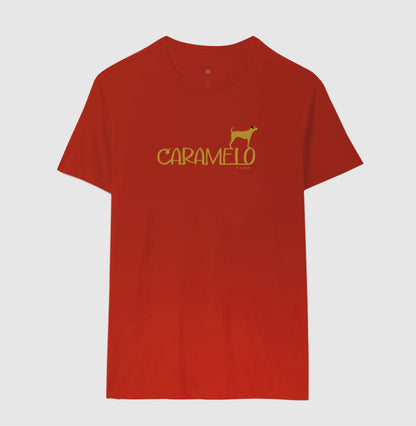 Camiseta cachorro Caramelo - Identidade